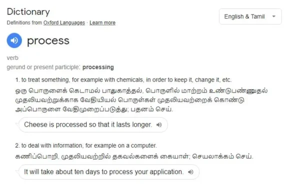 What is processing? Dictionary Meaning